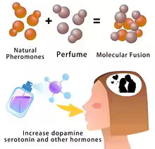 Corleone Pheromone Perfume | 10ml